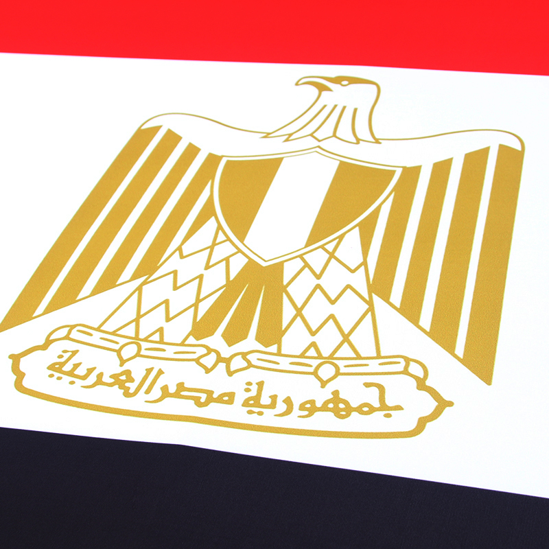 Copertura per cofano motore au - Car Accessories Egypt recensione e prezzo